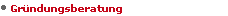 Gr�ndungsberatung
