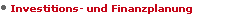 Investitions- und Finanzplanung