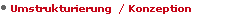 Umstrukturierung  / Konzeption