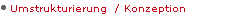 Umstrukturierung  / Konzeption